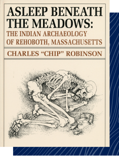 Asleep Beneath the Meadows Book Cover
