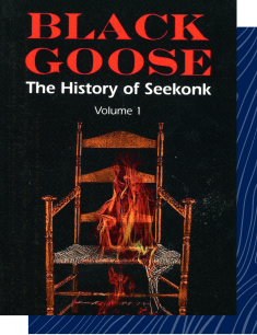 Black Goose Book Cover